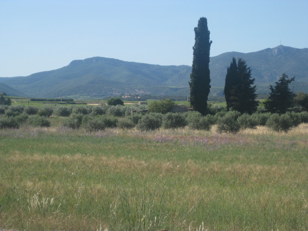 languedoc