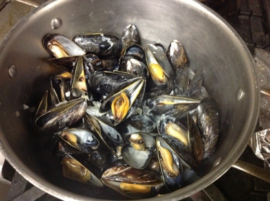 20121109-171652.jpg