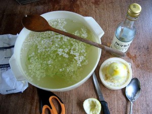 Yes, you could make your own Elderflower Syrup but the Il Ugo product is much, much easier!